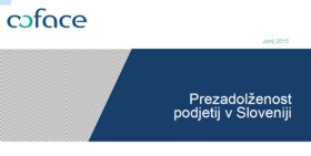 Publikacija: Prezadolženost podjetij v Sloveniji